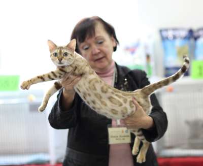 �������� ����� '������� ���-�����' 30 ������-1 ������� 2013., WCF-����� 2417